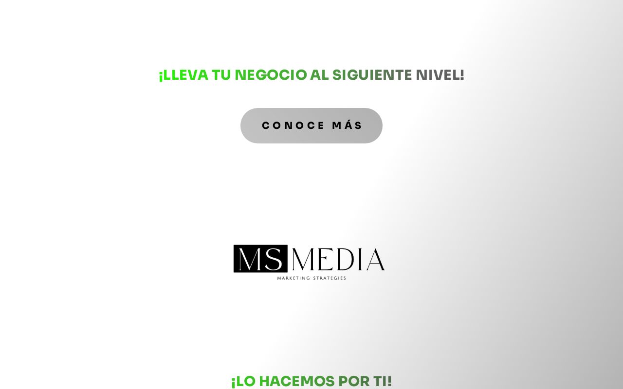 MS MEDIA